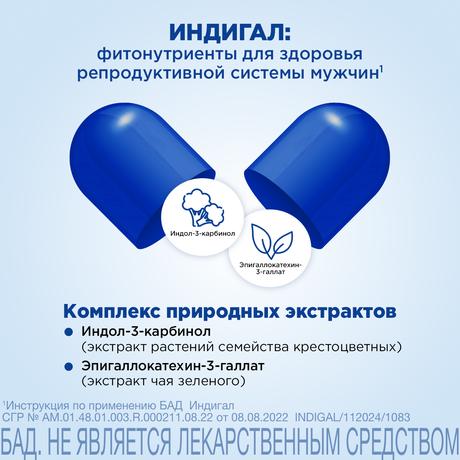 Фото Индигал, капсулы 305 мг, 120 шт.