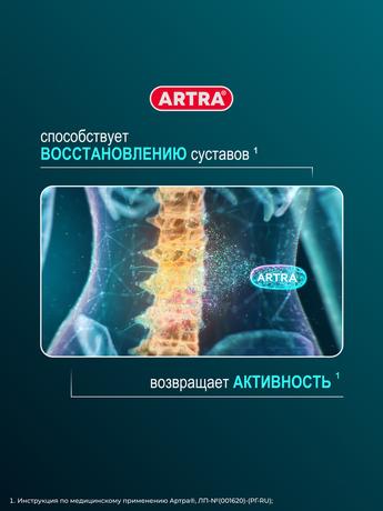 Фото Артра, таблетки покрытые пленочной оболочкой 500 мг+500 мг, 120 шт.