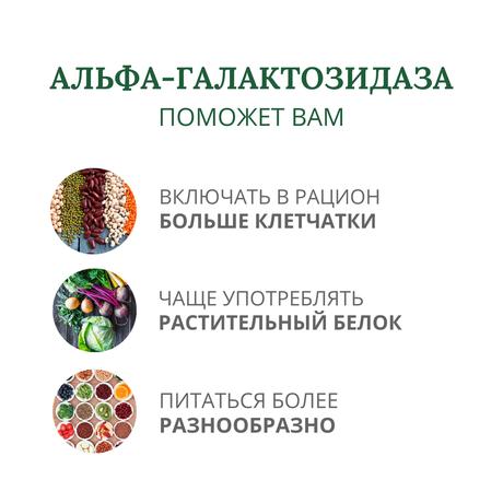 Фото Фермент Альфа-Галактозидаза, таблетки 0,3 г, 60 шт.