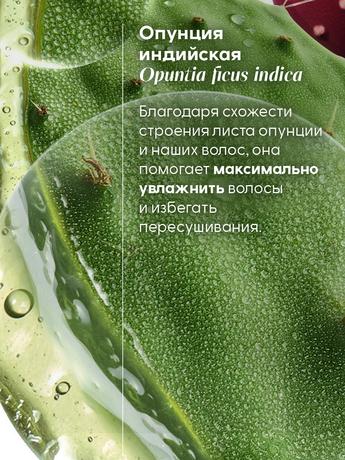 Фото Klorane, увлажняющий шампунь с опунцией, 400 мл