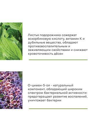 Фото Асепта крем д/фикс зуб протезов (мятный вкус) 40 г х1