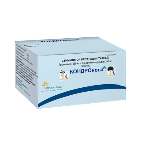 Фото Кондронова, капсулы 250 мг+200 мг, 120 шт.