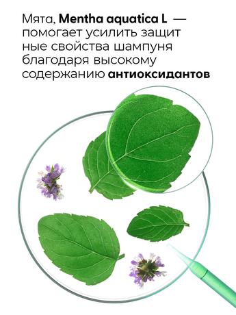 Фото Klorane Водная мята, шампунь-детокс для волос 200 мл 