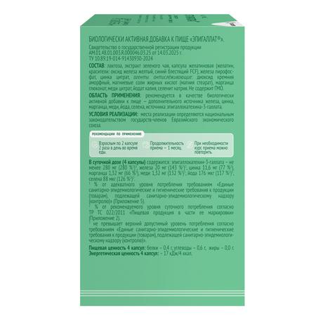 Фото Эпигаллат, капсулы 500 мг, 120 шт.