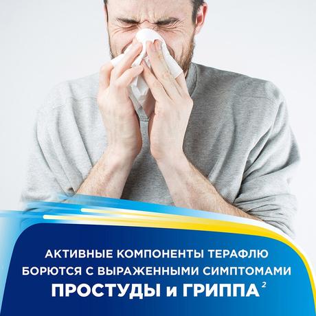 Фото Терафлю Экстратаб, таблетки покрыт. плен. об., 10 шт.