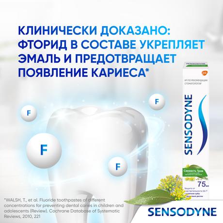 Фото Зубная паста Sensodyne Свежесть Трав для чувствительных зубов с экстрактом трав, 75 мл