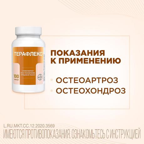Фото Терафлекс, капсулы 500 мг+400 мг, 60 шт.
