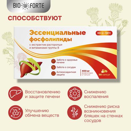 Фото Эссенциальные фосфолипиды BioForte, капсулы 1250 мг, 30 шт.