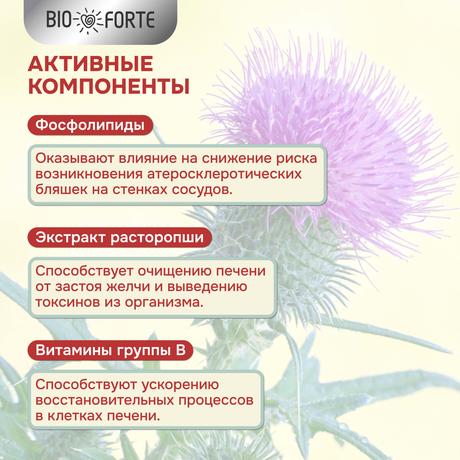 Фото Эссенциальные фосфолипиды BioForte, капсулы 1250 мг, 30 шт.