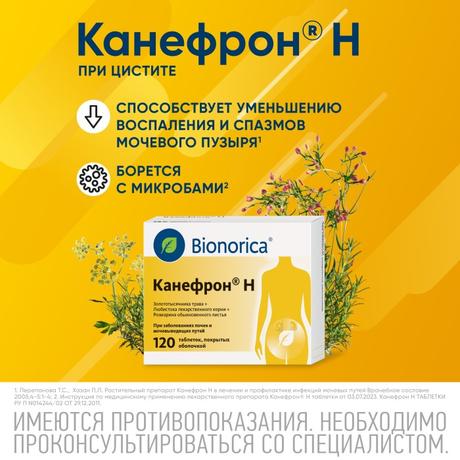 Фото Канефрон Н, таблетки покрытые оболочкой, 120 шт.