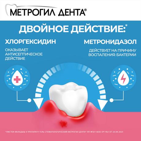 Фото Метрогил Дента, гель стоматологический, 20 г