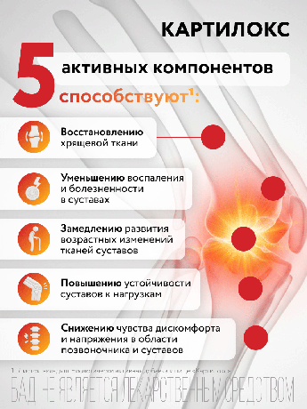 Фото Картилокс, порошок, саше-пакет, 30 шт.