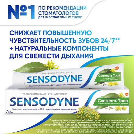 Фото Зубная паста Sensodyne Свежесть Трав для чувствительных зубов с экстрактом трав, 75 мл
