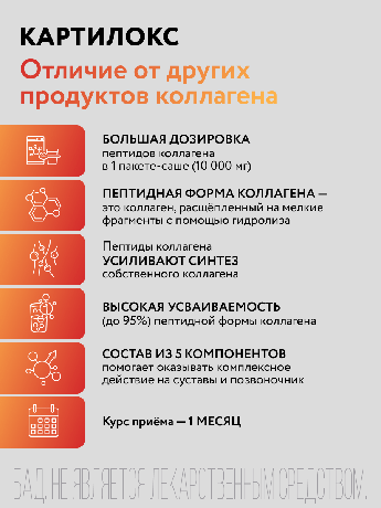 Фото Картилокс, порошок, саше-пакет, 30 шт.