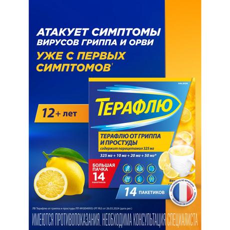 Фото ТераФлю жаропонижающее обезболивающее средство от симптомов гриппа и простуды, 14 шт.