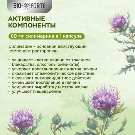 Фото Расторопша BioForte, капсулы 120 мг, 30 шт.