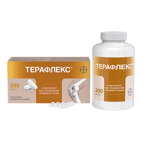 Фото Терафлекс, капсулы 500 мг+400 мг, 200 шт.