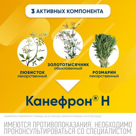 Фото Канефрон Н, таблетки покрытые оболочкой, 120 шт.
