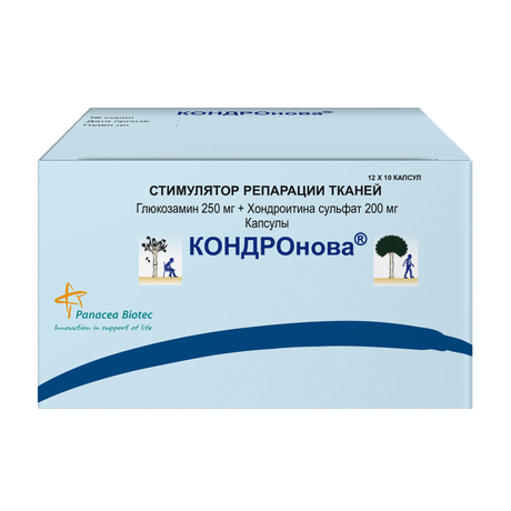 Фото Кондронова, капсулы 250 мг+200 мг, 120 шт.