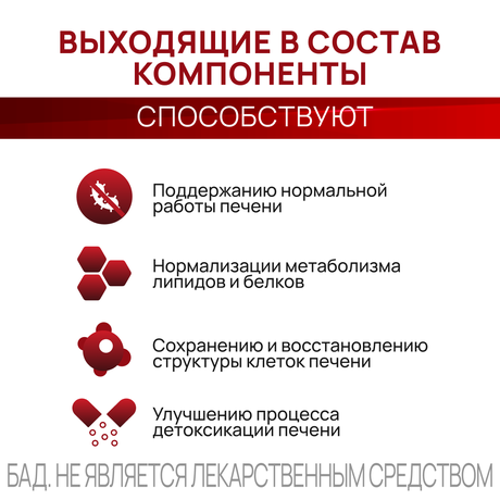 Фото Фортификат 825 мг, капсулы 1490 мг, 30 шт.