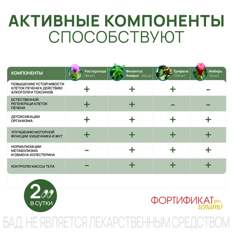 Фото Фортификат Гепато таблетки, 30 шт.