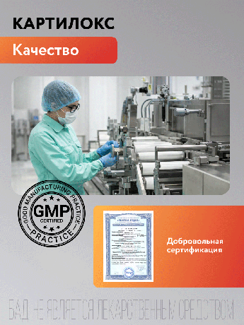 Фото Картилокс, порошок, саше-пакет, 30 шт.