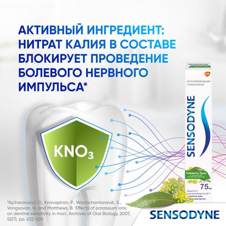 Фото Зубная паста Sensodyne Свежесть Трав для чувствительных зубов с экстрактом трав, 75 мл