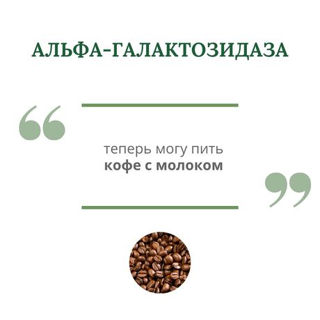 Фото Фермент Альфа-Галактозидаза, таблетки 0,3 г, 60 шт.