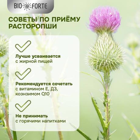 Фото Расторопша BioForte, капсулы 120 мг, 30 шт.