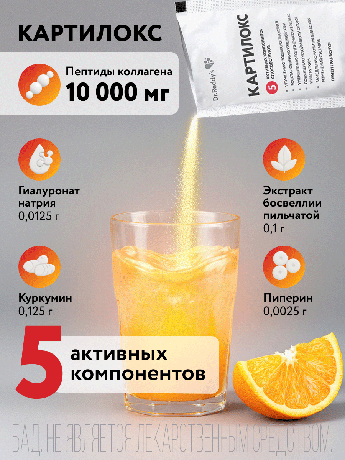 Фото Картилокс, порошок, саше-пакет, 30 шт.