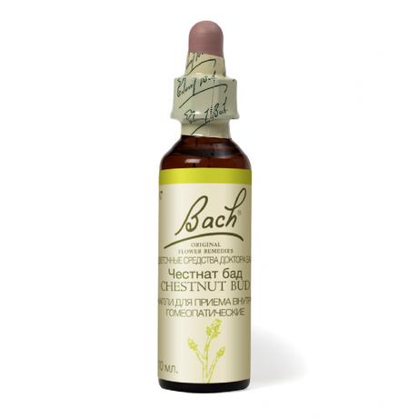 Фото Капли Баха Честнат Бад №7, капли гомеопатические флакон, 10 мл
