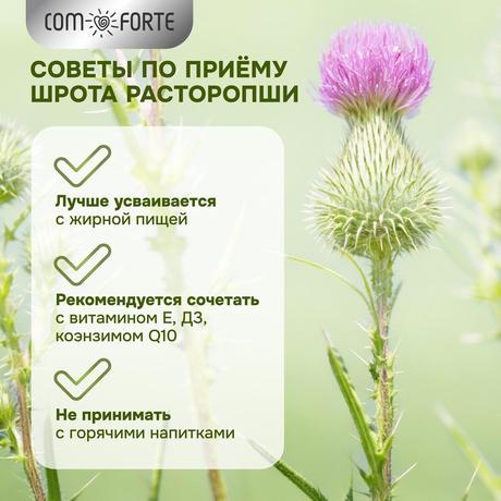 Фото Шрот расторопши BioForte 100 г, 1 шт.