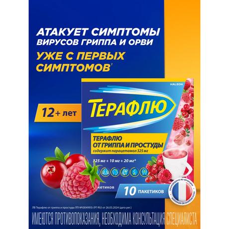 Фото ТераФлю, жаропонижающее обезболивающее средство от симптомов гиппа и простуды, 10 шт.