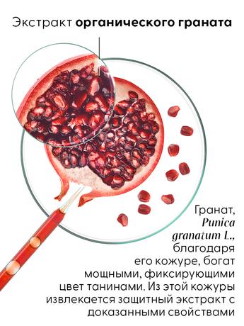 Фото Klorane Гранат, шампунь для окрашенных волос 200 мл