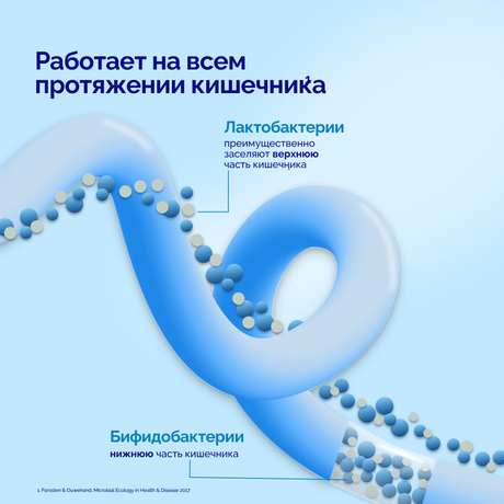 Фото Пробиэль Био, капсулы 325 мг, 10 шт.