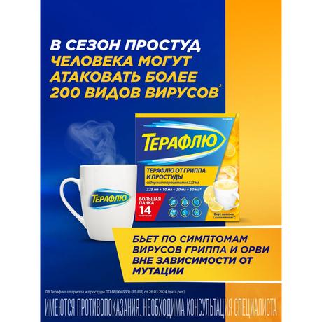Фото ТераФлю жаропонижающее обезболивающее средство от симптомов гриппа и простуды, 14 шт.