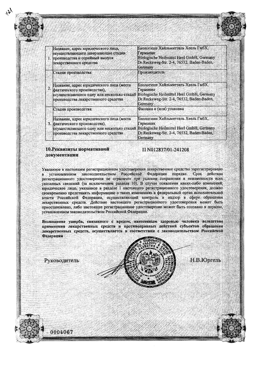 Сертификат Нервохель Сертификат Нервохель