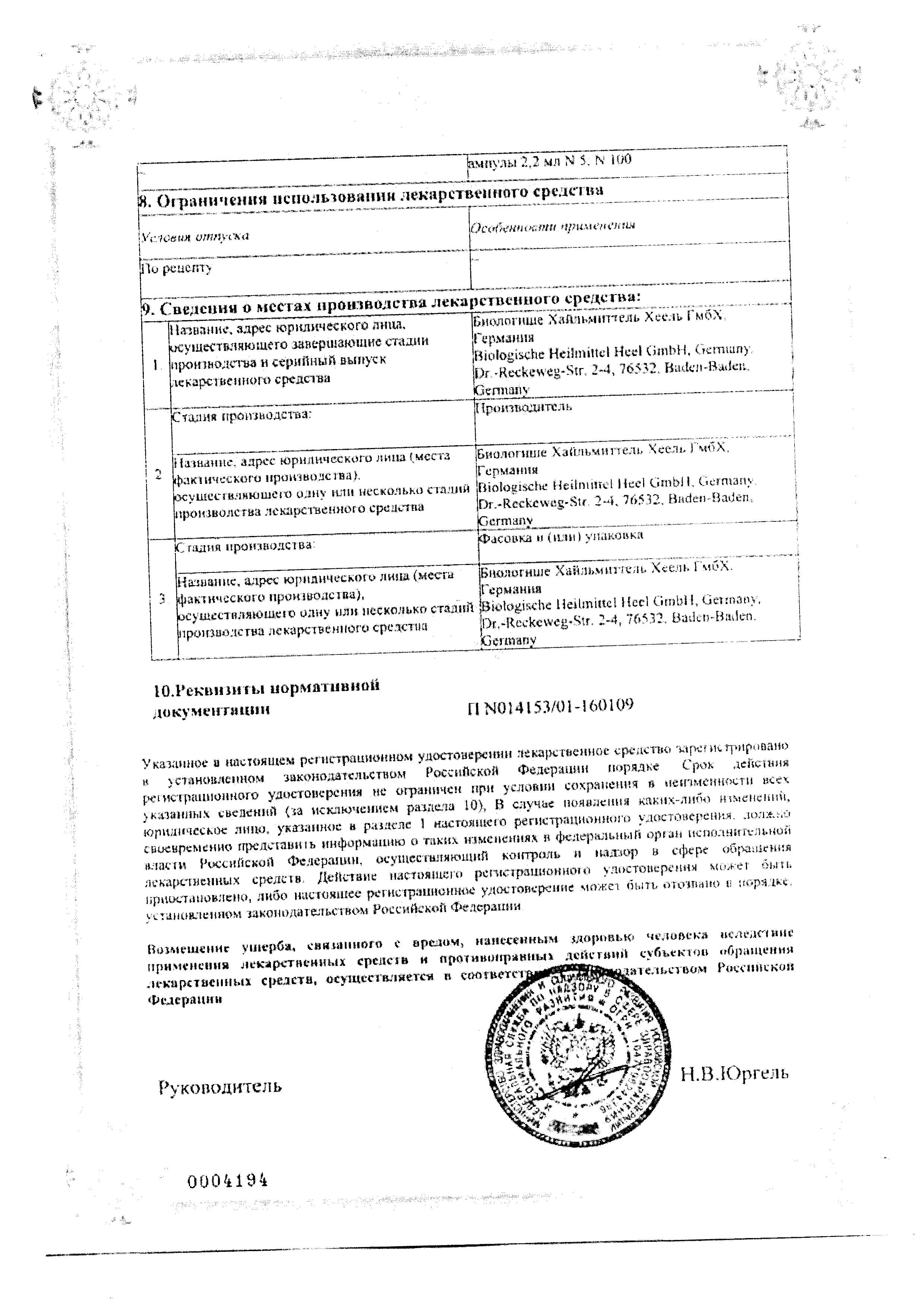 Сертификат Эхинацея